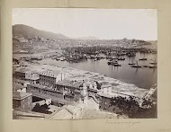 Panoramafoto van gebouwen en schepen in de haven van Genua