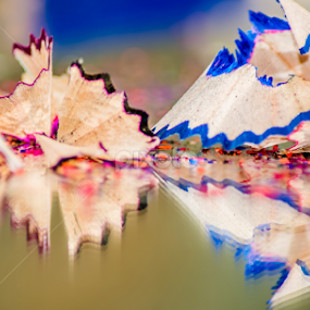 REFLECTION O COLOR  by Raj Nandi - Artistic Objects Education Objects