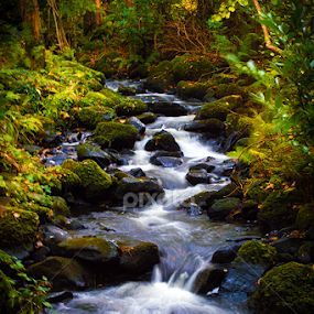 Magical River by Lisa Davies - Nature Up Close Water