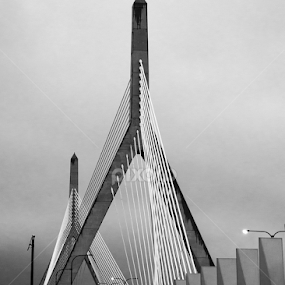 Zakim Bridge Boston by David Stone - Black & White Buildings & Architecture