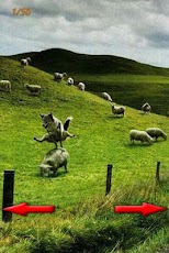 Funny Pics - Android Mobile Analytics and App Store Data