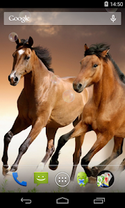 Horses Live Wallpaper screenshot 1