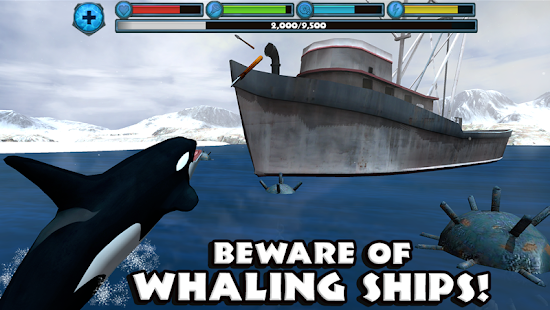 Orca Simulator(圖2)-速報App