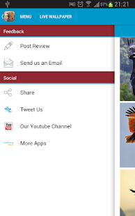 Eagles Wallpapers Screenshots 6