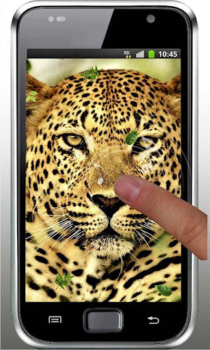 【免費個人化App】Leopard Best HD live wallpaper-APP點子