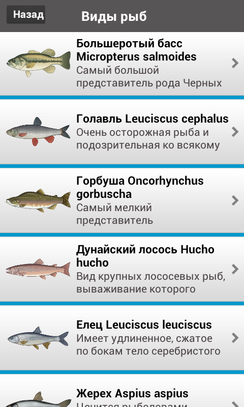 Рыбалка - Clear Fishing Screen 2