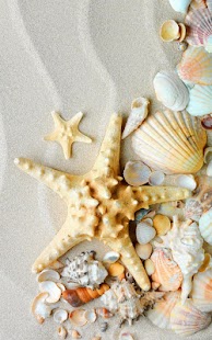 Seashells Live Wallpaper - Android Apps on Google Play