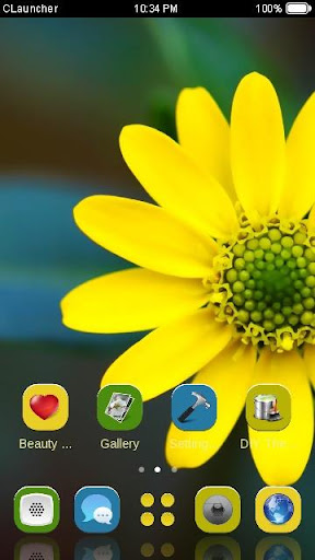 【免費個人化App】Little Flower C Launcher Theme-APP點子