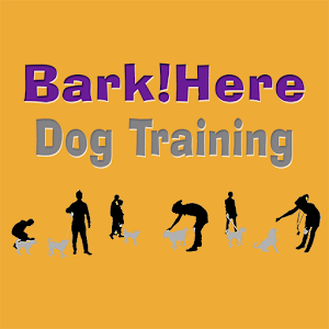 Bark!Here Dog Training 1.399