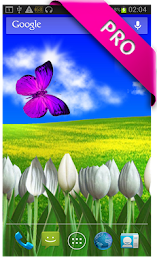 Tulips live wallpapers by PanSoft poster 4