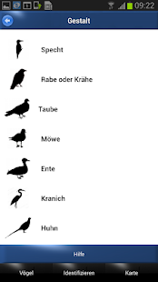 Vogel Id - Vögel im Garten(圖6)-速報App