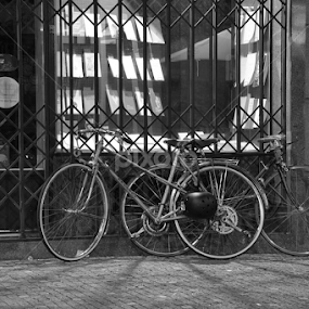 CLOSED by Onoff Antonio - Black & White Objects & Still Life