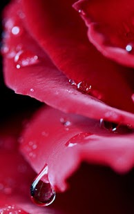 How to install Dew Drops Live Wallpaper 3.0 apk for android