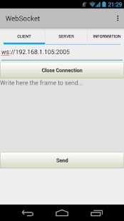 WebSocket Screenshots 11