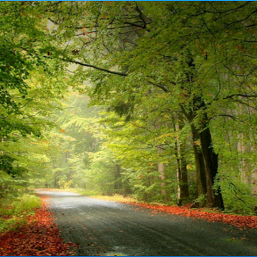 Beautiful Nature Wallpapers | Best Wallpapers