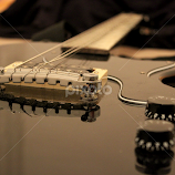 by Biljana Nikolic -  