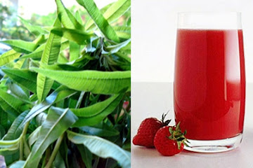 Strawberry and Lemon Verbena Summer Drink