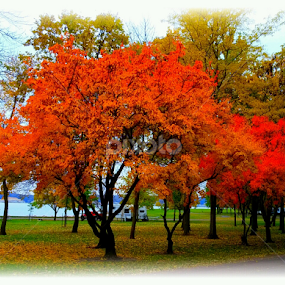 South Dakota Fall by Casey Bruner Sloan - Instagram & Mobile Android