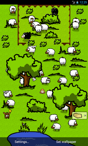 LiveSheep