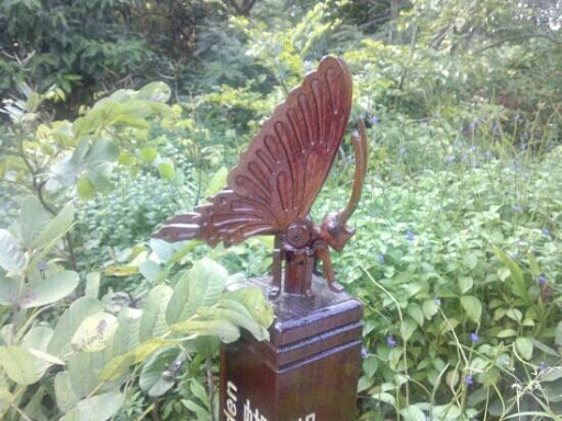 butterfly at 葡韻