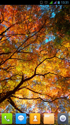 아름다운 가을 라이브 배경 화면