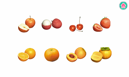 Picture Dictionary - Plants(圖4)-速報App