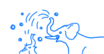 Elephants Playing