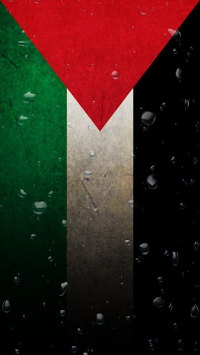 Palestina Wave LWP