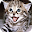 Frases de Animo Download on Windows