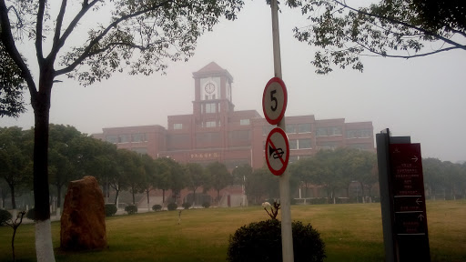 Library in the Mist