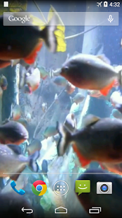 Aquarium Video Live Wallpaper(圖2)-速報App
