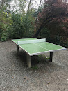 Ping-Pong Platz