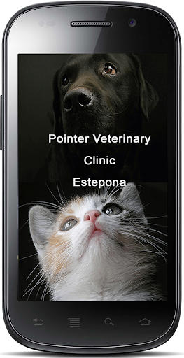 Pointer Clinic Estepona