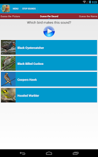 North American Birds Sounds Screenshots 12