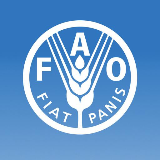 FAOnow LOGO-APP點子