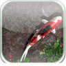 3D Koi Pond Live Wallpaper icon