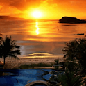 Amazing Beach at Sunrise Live logo