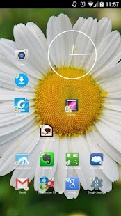How to get Daisy Flowers Icon Theme lastet apk for android