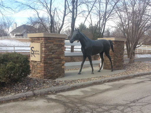 Skyline Ranches Neighborhood Entrance Metal Horse Sculpture Art