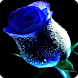 3D  Roses