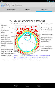 Embryology Lectures(圖6)-速報App