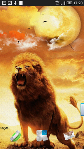 Lion Live Wallpaper