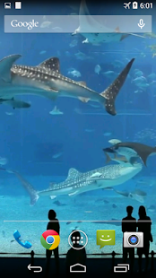 Mega Aquarium Video Wallpaper(圖3)-速報App