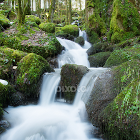 Cascade Le Saut du Bouchot by Stankowski Daniel - Nature Up Close Water