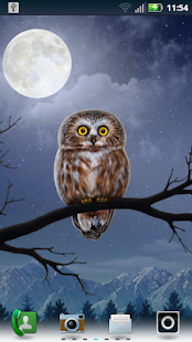 Free Download Owl Landscape APK