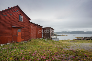 Red Shed at Twillingate by David Stone -  