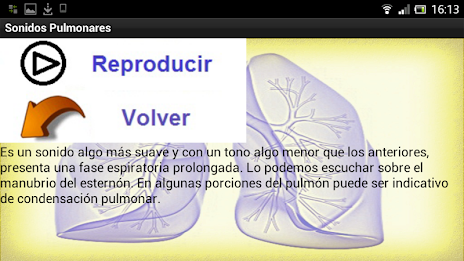 Sonidos Pulmonares poster 3