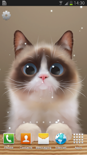 Free Download Shui The Kitten Lite APK