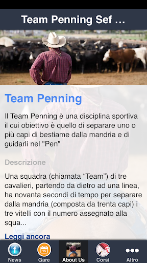 Team Penning