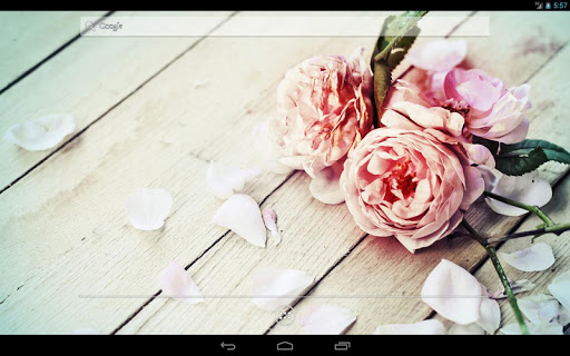 免費下載個人化APP|Flowers on the wood Wallpaper app開箱文|APP開箱王